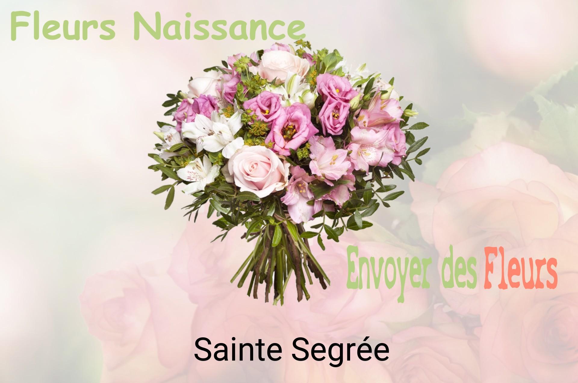 Bouquet de fleurs de naissance livré à Sainte-Segrée